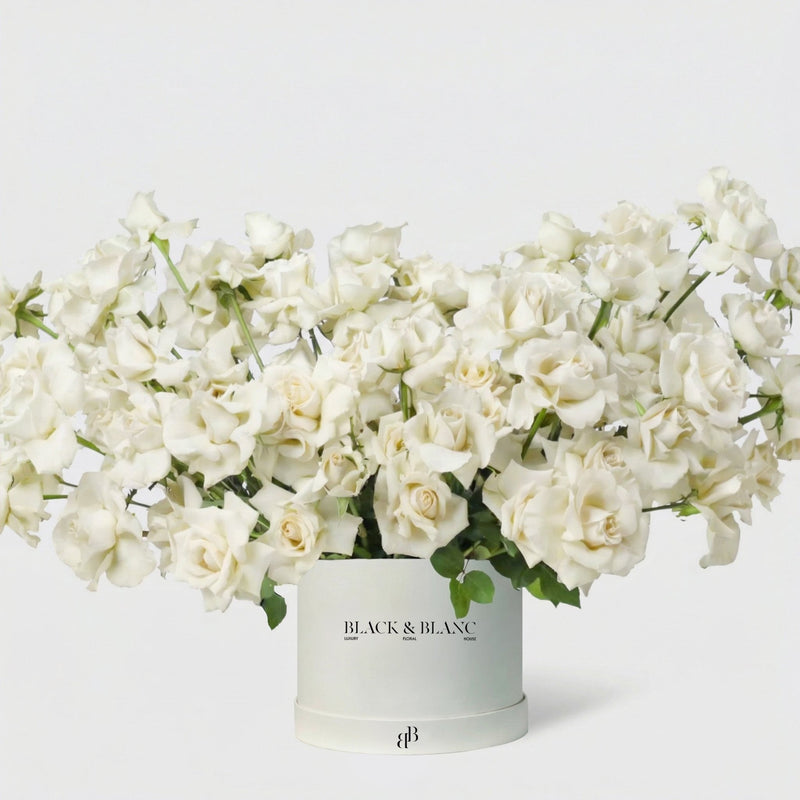100/101 White Roses in Box - BLACK AND BLANC