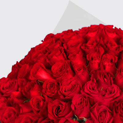 100 Red Roses Bouqs - Fresh Flowers