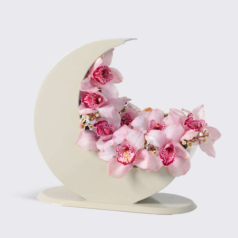 Lunar Elegance in Moon