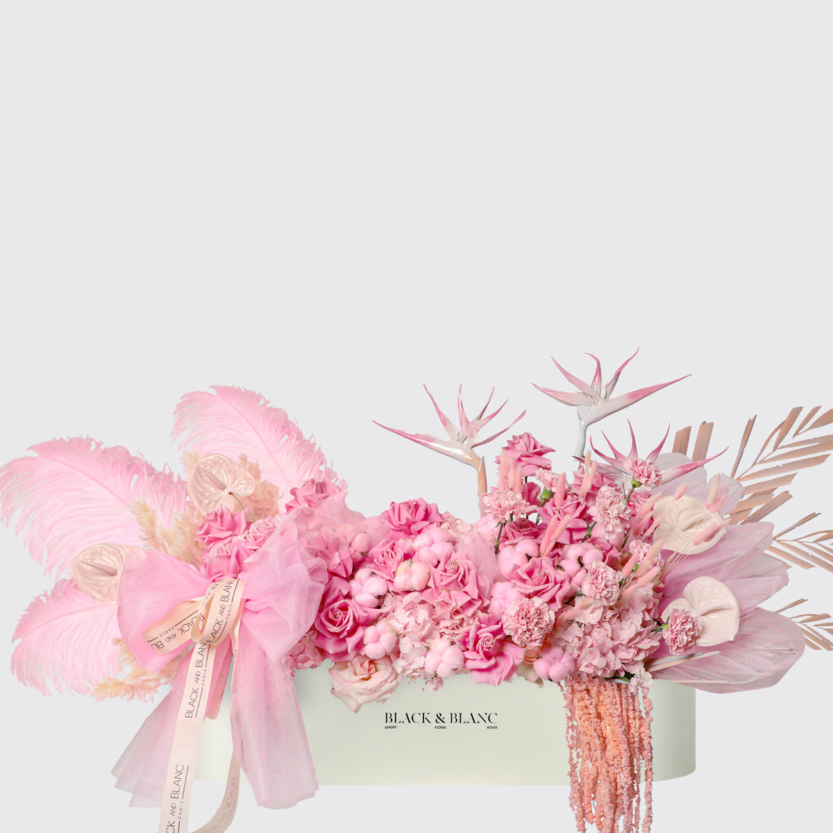 Pink Serenade in 1 Meter Box