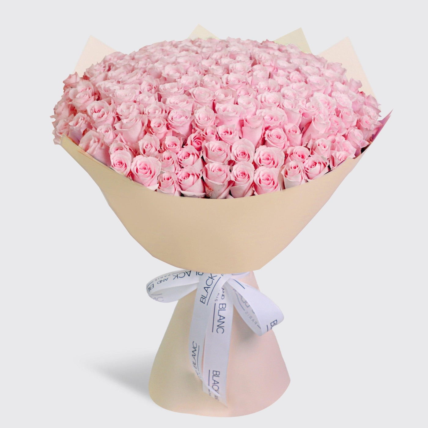 200/201 Pink Roses Bouquet - BLACK AND BLANC