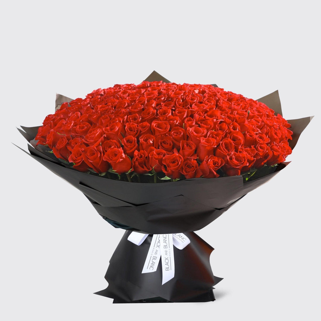 200/201 Red Roses Bouquet - BLACK AND BLANC