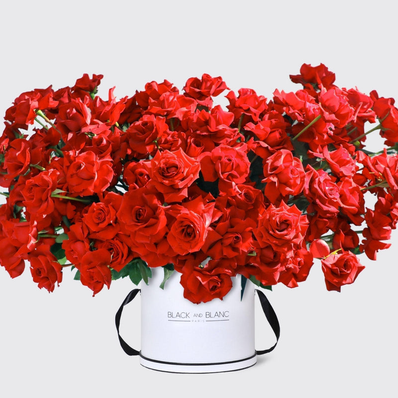200/201 Red Roses in Box - BLACK AND BLANC