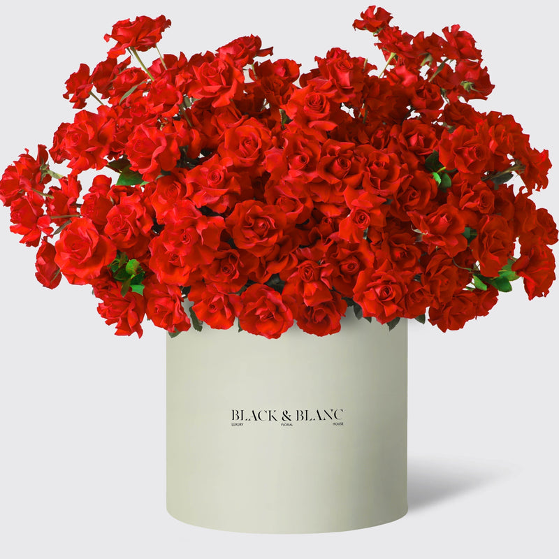 200/201 Red Roses in Opus Box