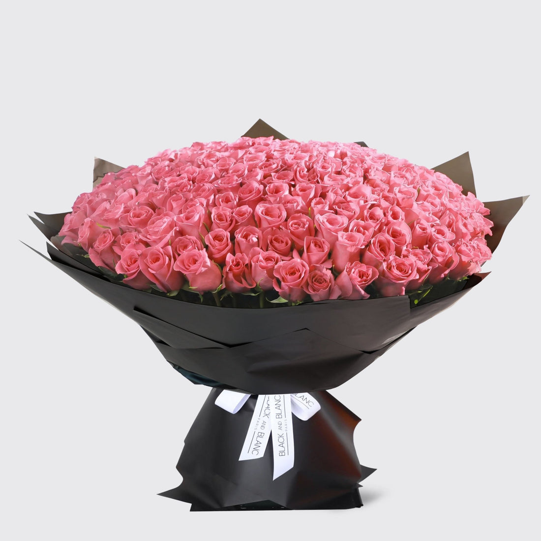 200/201 Pink Roses Bouquet - BLACK AND BLANC