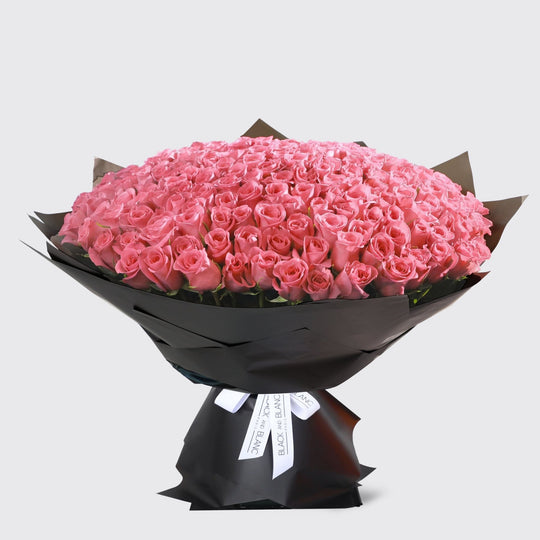 200/201 Pink Roses Bouquet - BLACK AND BLANC