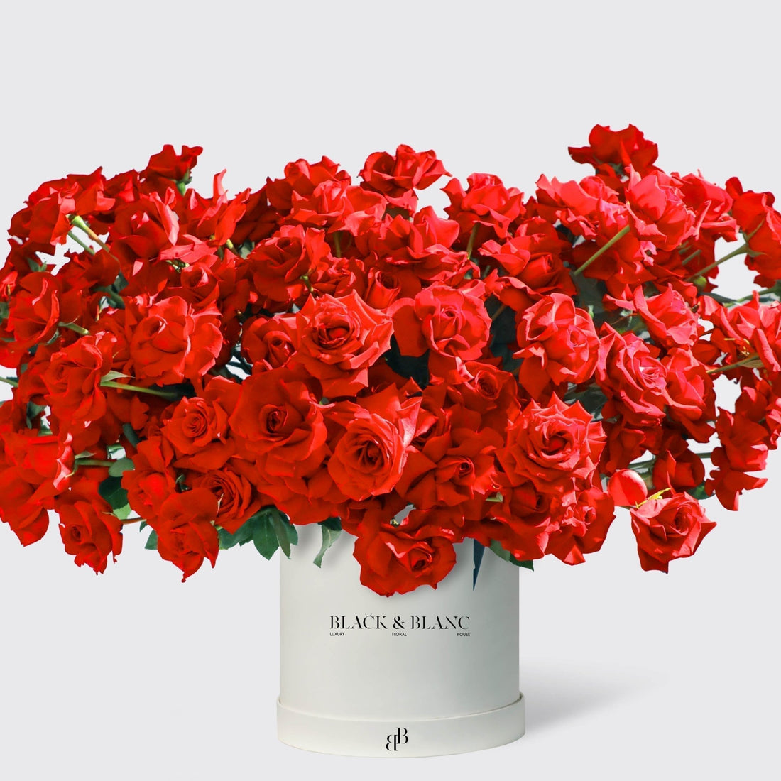 200/201 Red Roses in Box - BLACK AND BLANC
