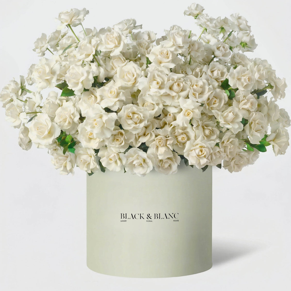 200/201 Rose Luxe in Opus box - BLACK AND BLANC