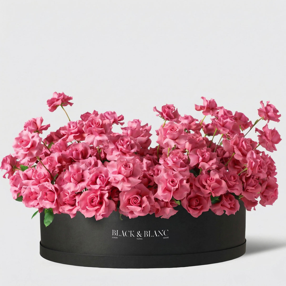 250/251 Pink Roses in Extravaganza - BLACK AND BLANC