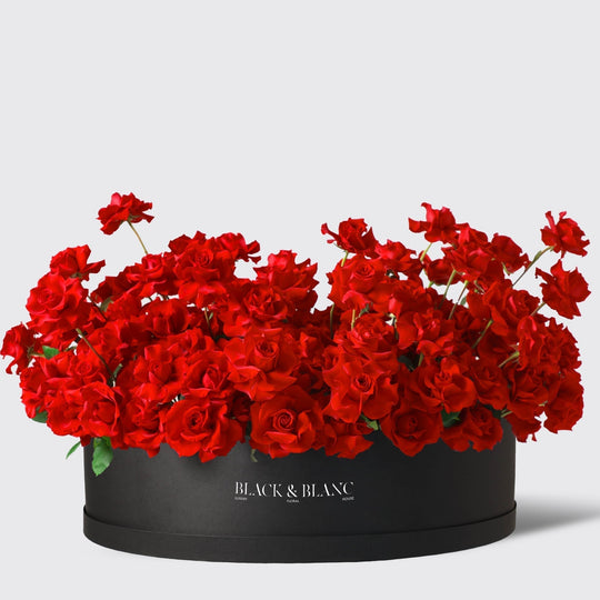 250/251 Roses in Extravaganza - BLACK AND BLANC