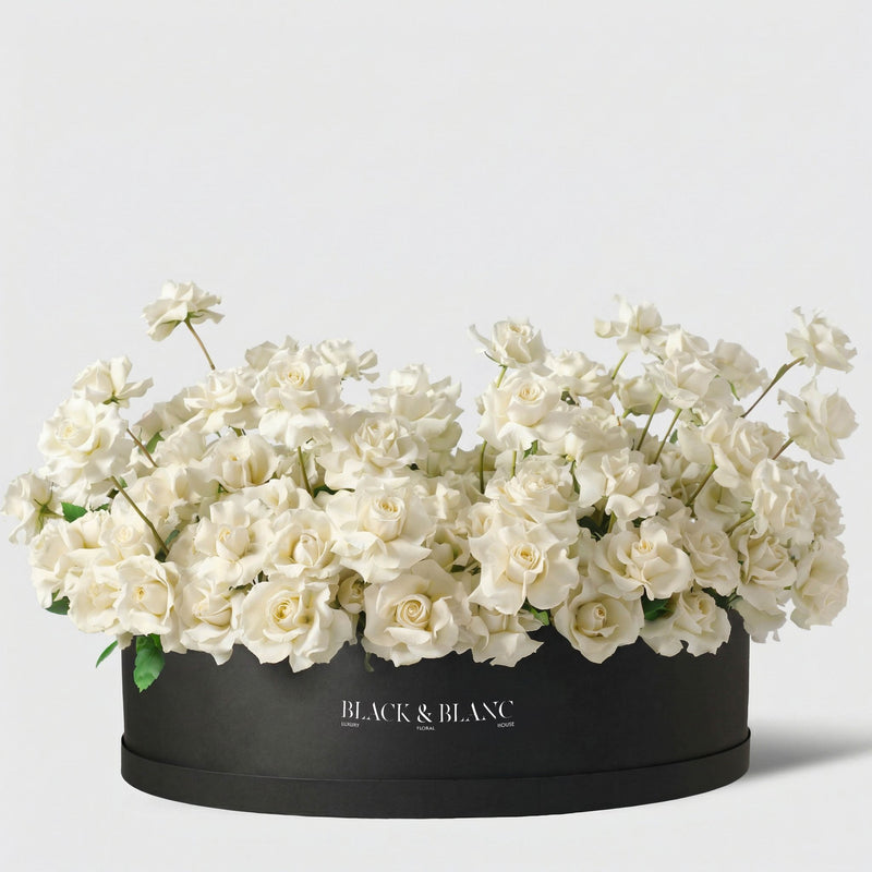 250/251 White Roses in Extravaganza - BLACK AND BLANC