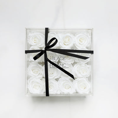 White Clear - Infinity Roses
