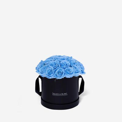Baby Blue BouqBox - Infinity Roses - BLACK AND BLANC