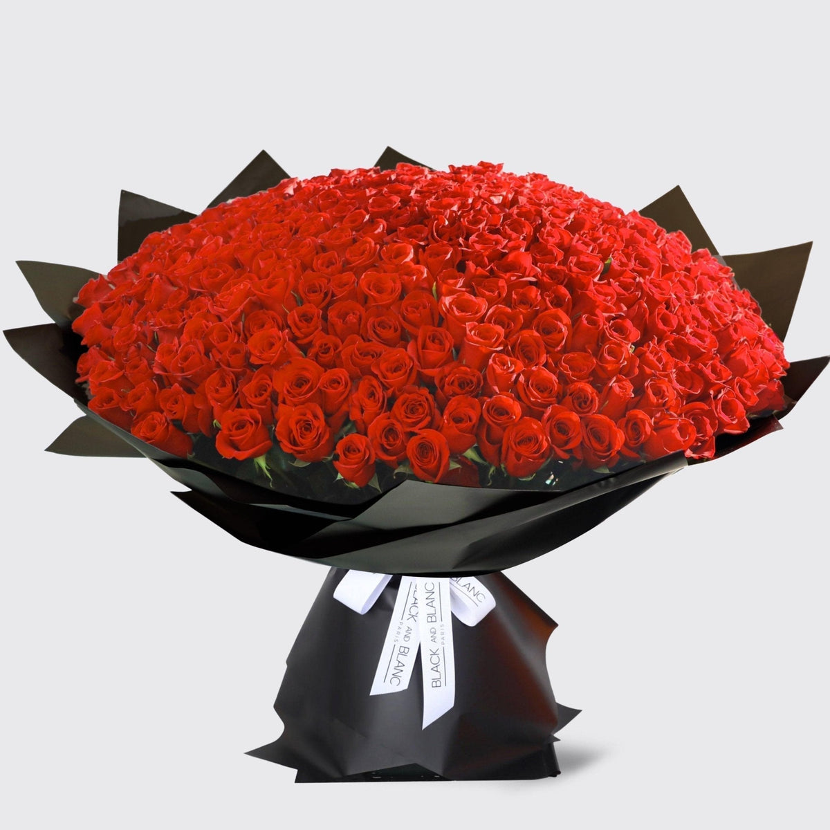 300/301 Red Roses Bouquet - BLACK AND BLANC