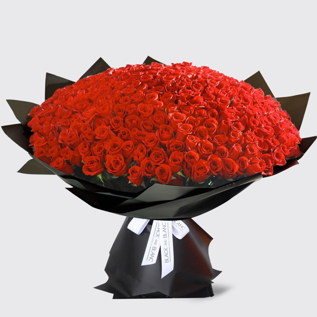 300/301 Red Roses Bouquet - BLACK AND BLANC