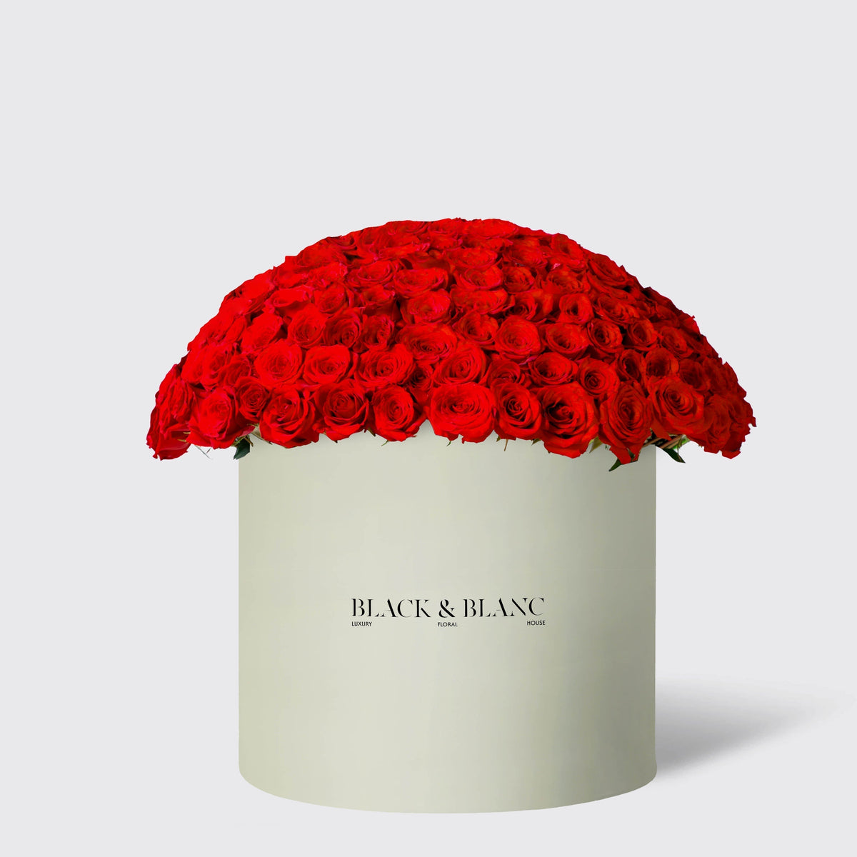 300/301 Red Roses in Opus Box - Infinity Roses