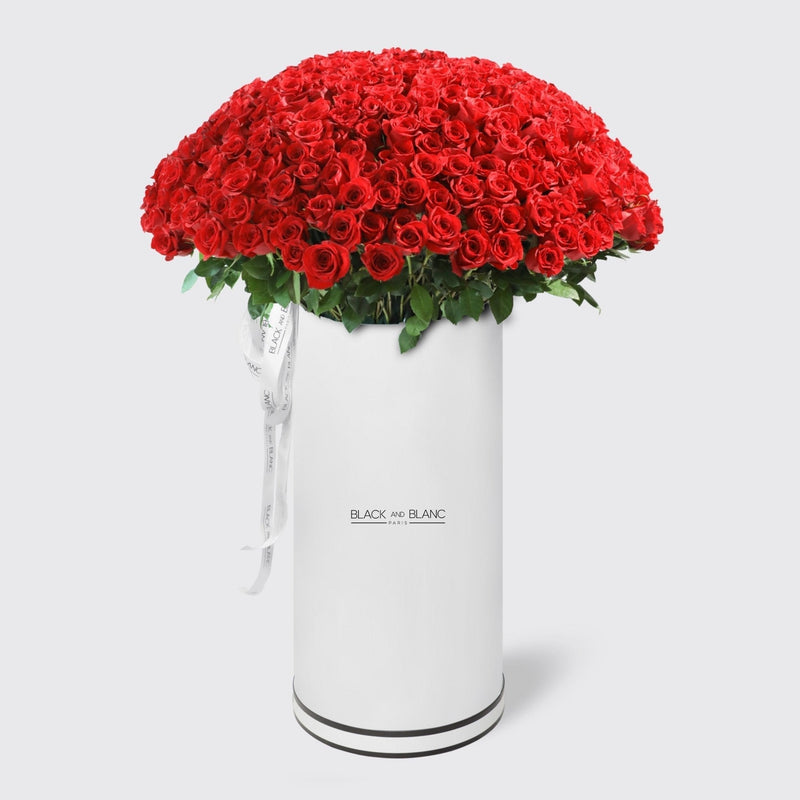 300/301 Red Roses in Pinnacle - BLACK AND BLANC