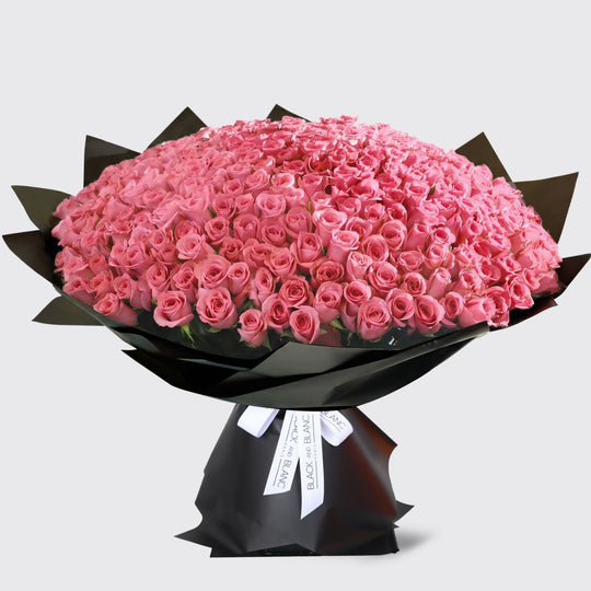 300/301 Pink Roses Bouquet - BLACK AND BLANC