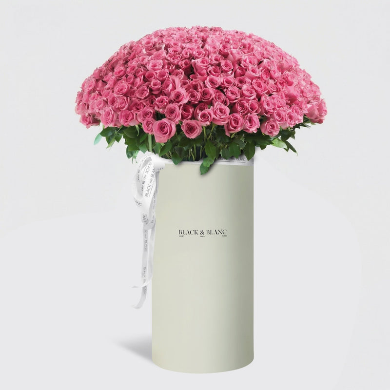 300/301 Pink Roses in Pinnacle - BLACK AND BLANC