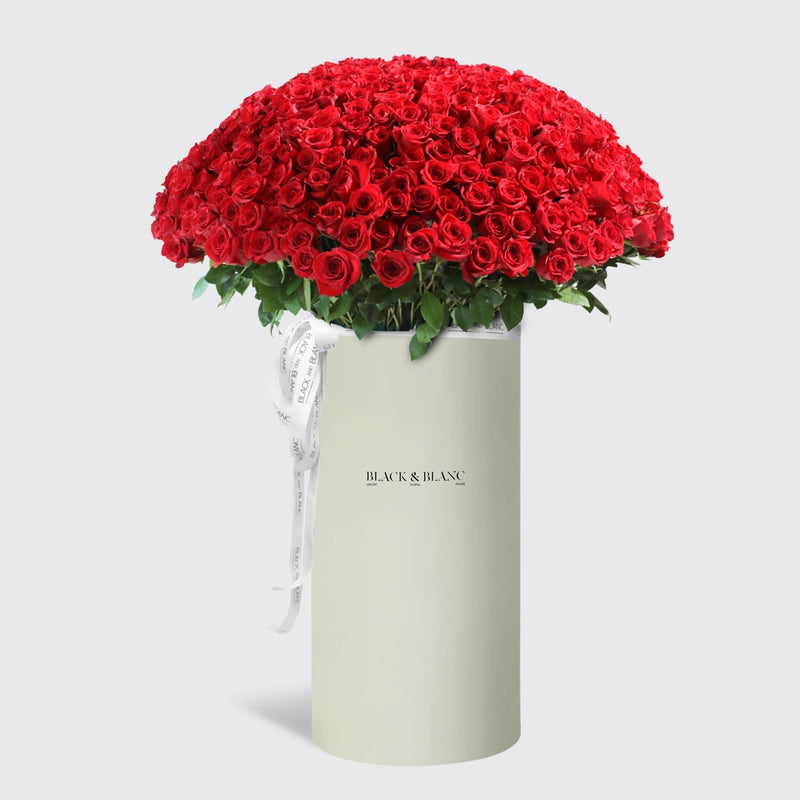300/301 Red Roses in Pinnacle - BLACK AND BLANC