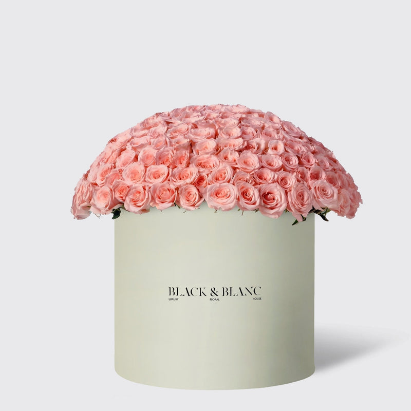 300/301 Roses in Opus Box - BLACK AND BLANC