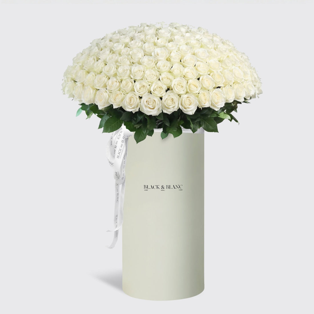 300/301 White Roses in Pinnacle - BLACK AND BLANC