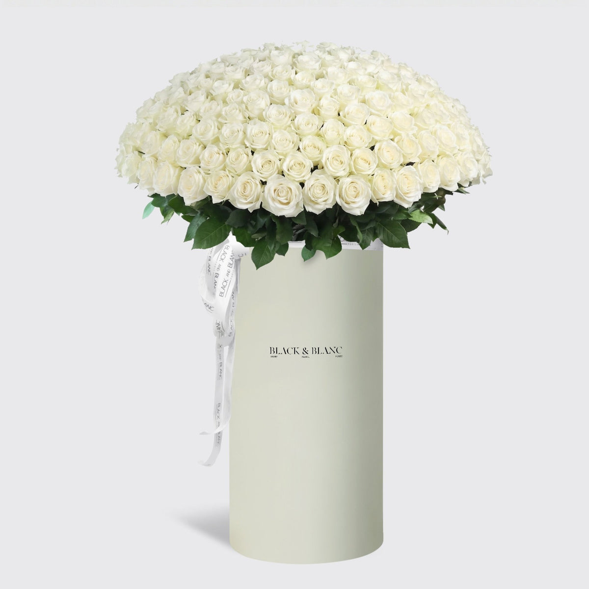 300/301 White Roses in Pinnacle - BLACK AND BLANC