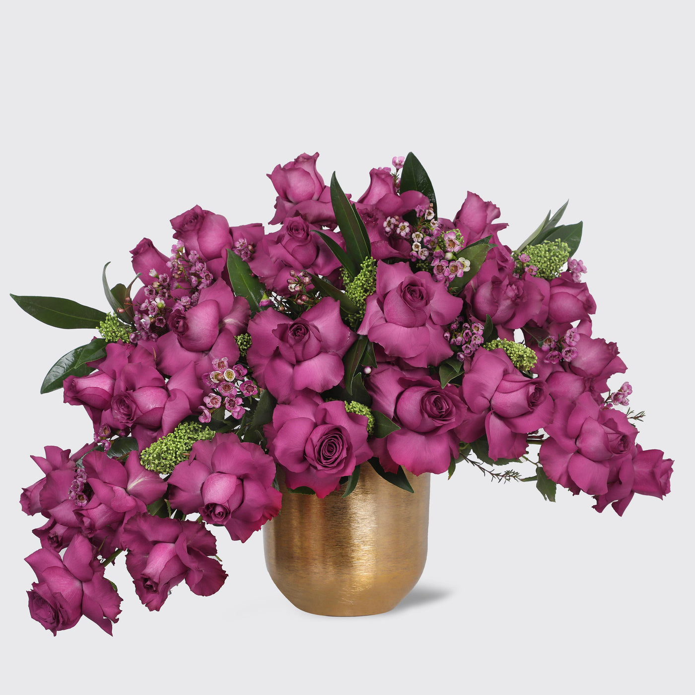Velvet Plum Pegasus in Vase - Fresh Flowers