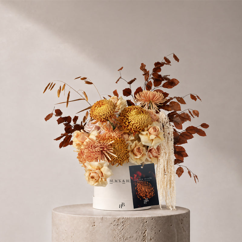 Autumn - Firelight in Box - BLACK AND BLANC
