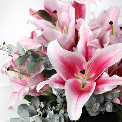 Lily Pink BouqBox - Fresh Flowers - BLACK AND BLANC