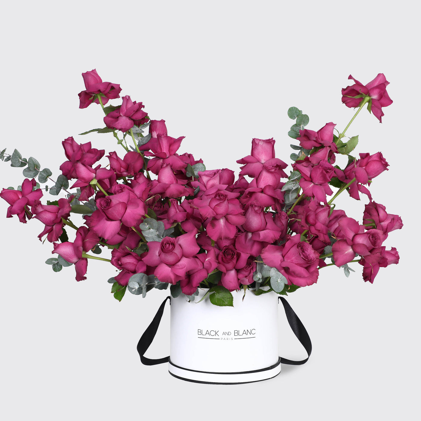 50 Purple Roses in Box - Fresh Flowers