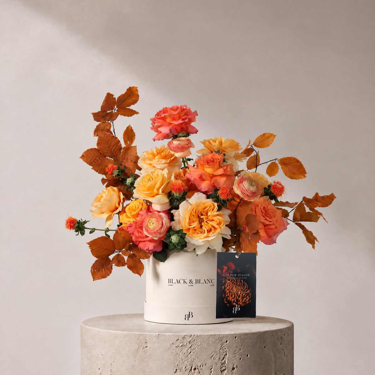 Autumn - Amber in Box - BLACK AND BLANC