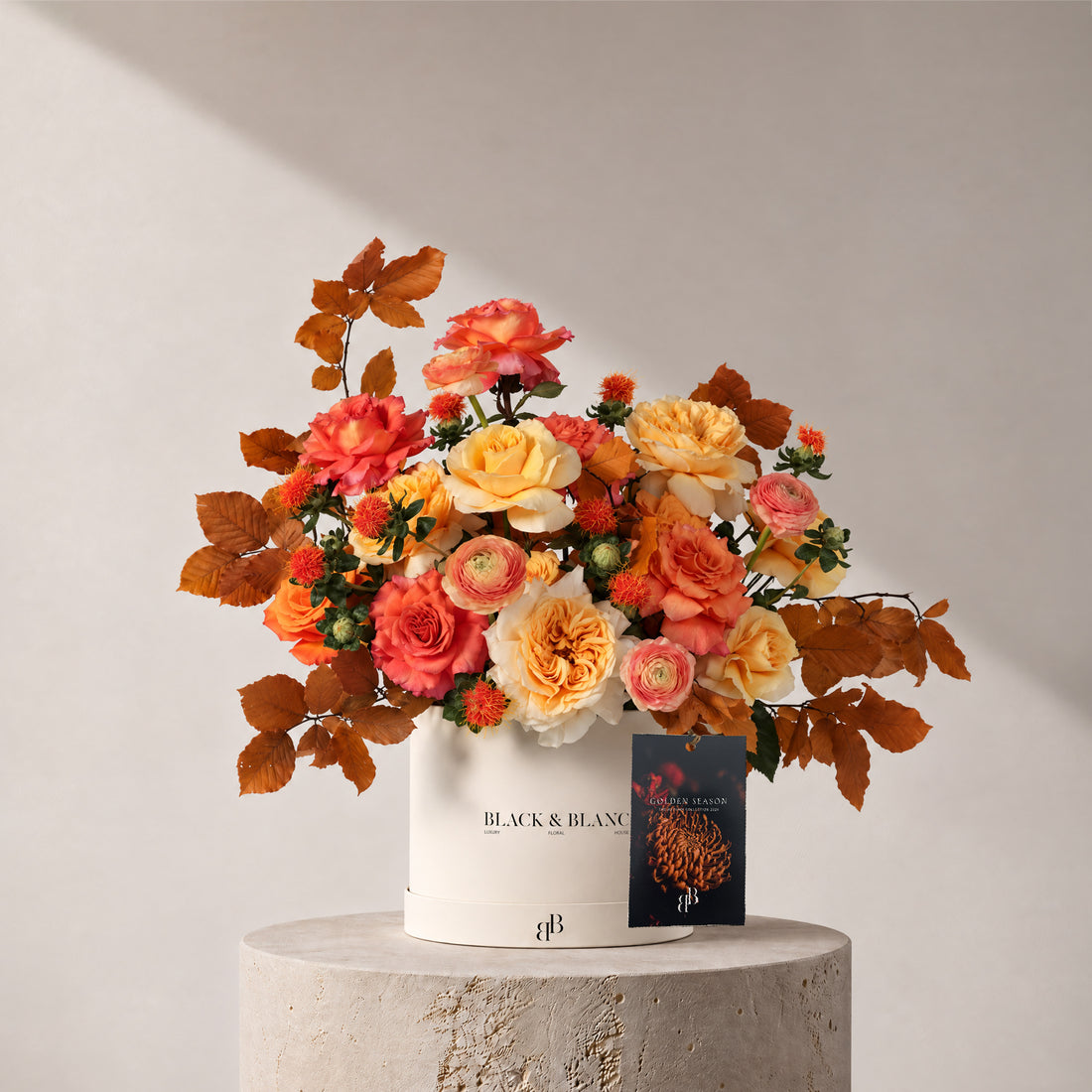 Autumn - Amber in Box - BLACK AND BLANC