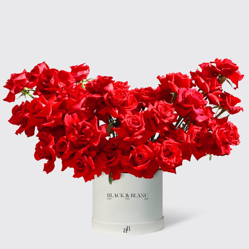50/51 Red Roses in Box