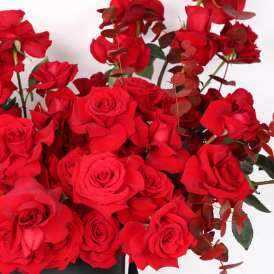 50/51 Red Roses in Box - BLACK AND BLANC