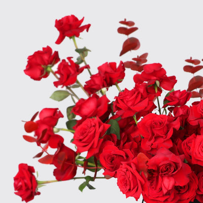 50/51 Red Roses in Box - BLACK AND BLANC