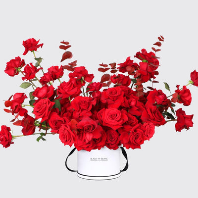 50/51 Red Roses in Box - BLACK AND BLANC