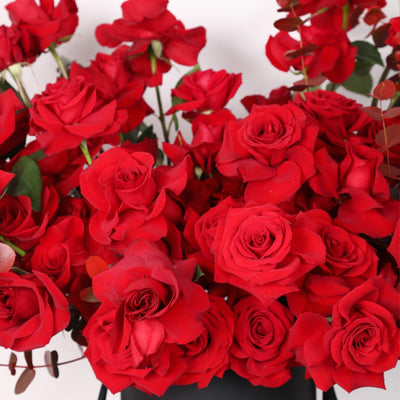 50/51 Red Roses in Box - BLACK AND BLANC