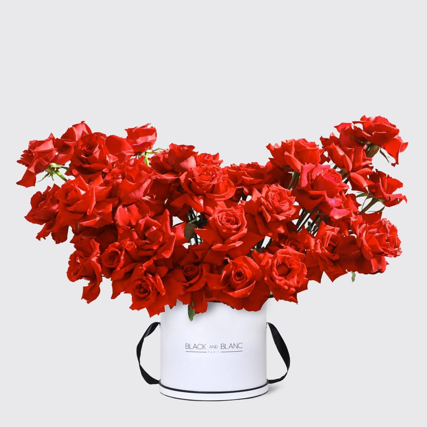 50/51 Roses in Box - BLACK AND BLANC