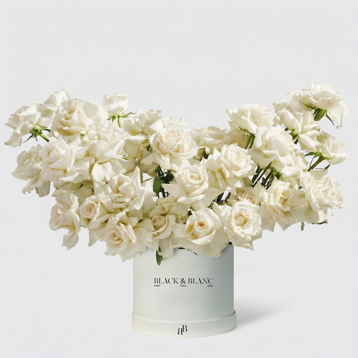 50/51 Roses in Box