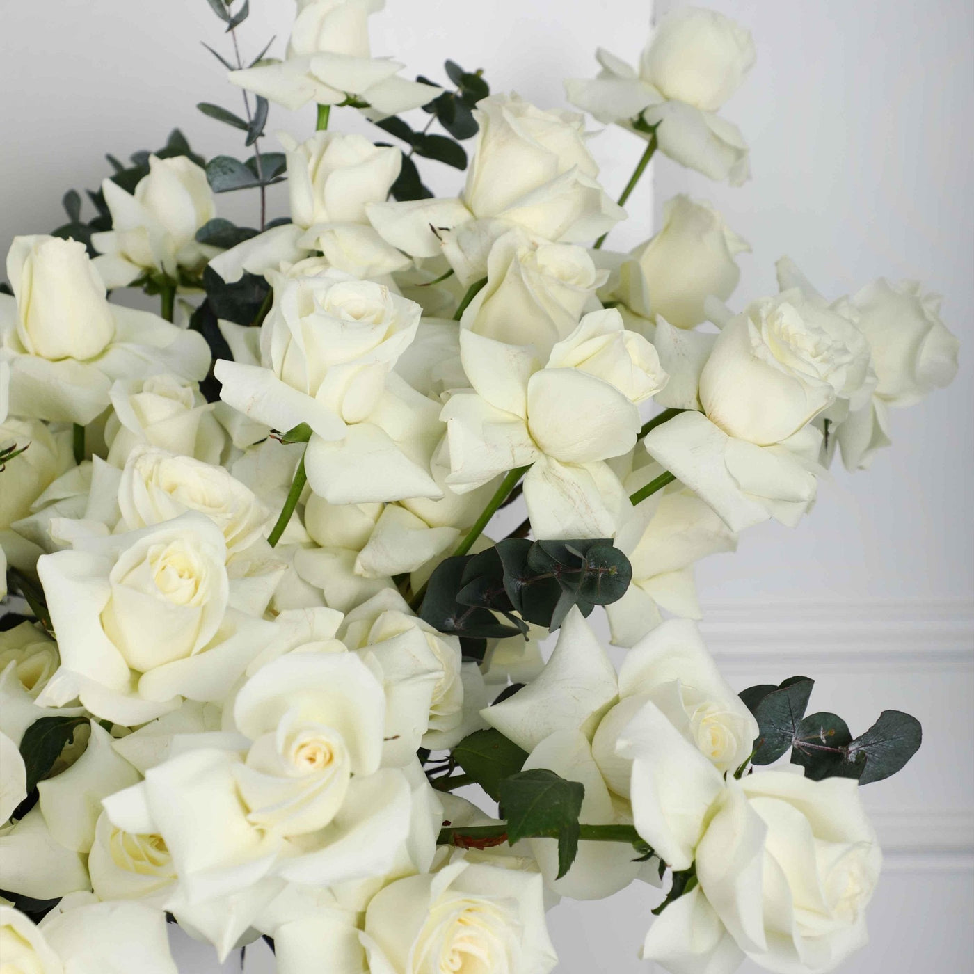 50/51 White Roses in Box - BLACK AND BLANC
