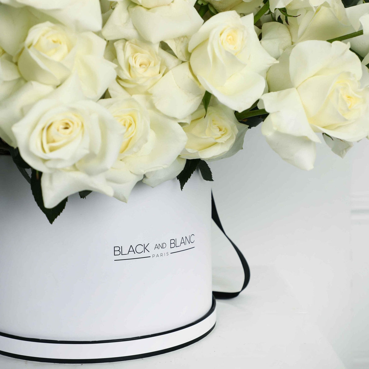 50/51 White Roses in Box - BLACK AND BLANC