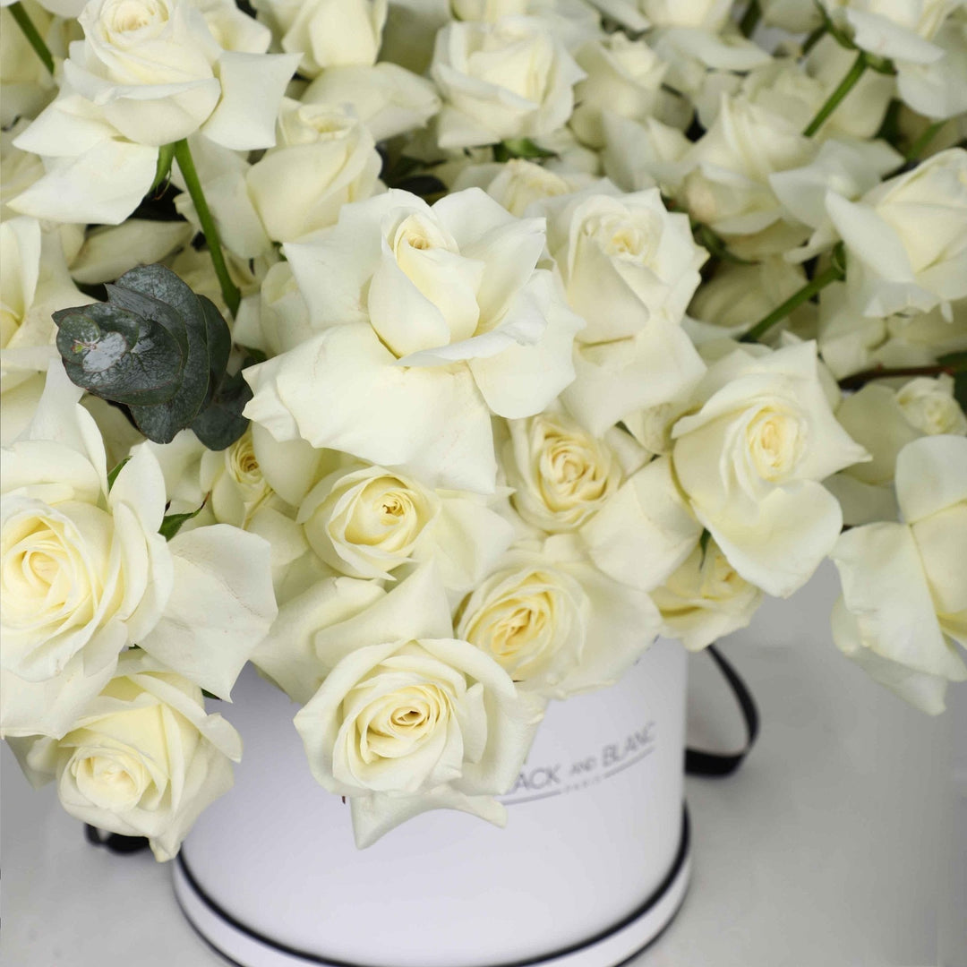 50/51 White Roses in Box - BLACK AND BLANC