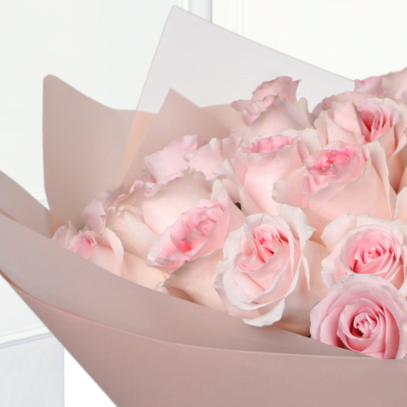 50/51 Pink Roses Bouqs - Fresh Flowers - BLACK AND BLANC