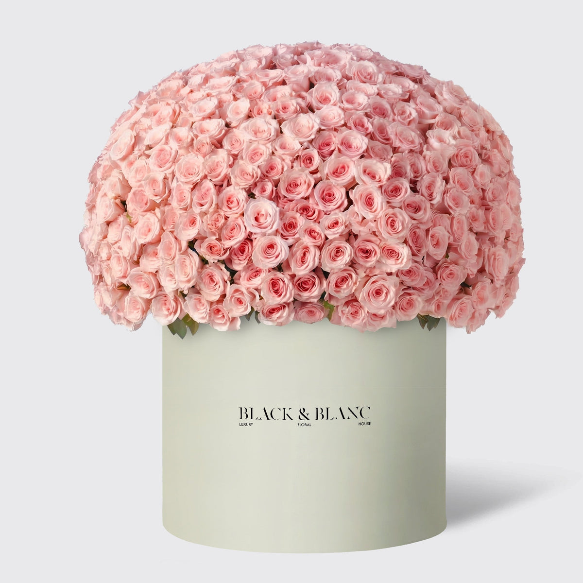 500/501 Pink Roses in Opus