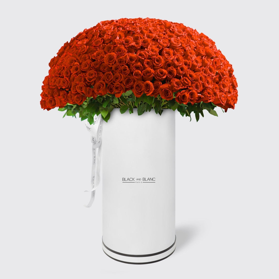 500/501 Red Roses in Pinnacle - BLACK AND BLANC