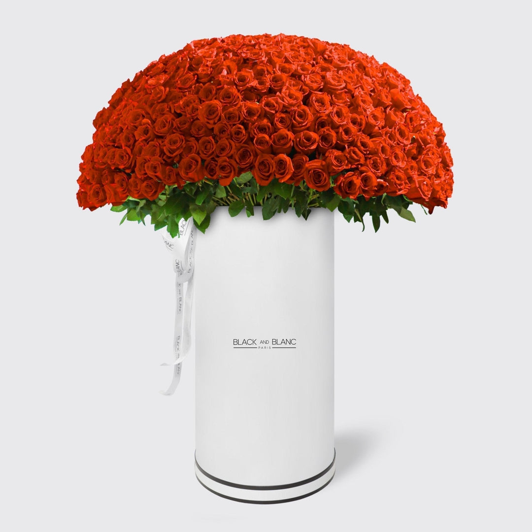 500/501 Red Roses in Pinnacle - BLACK AND BLANC