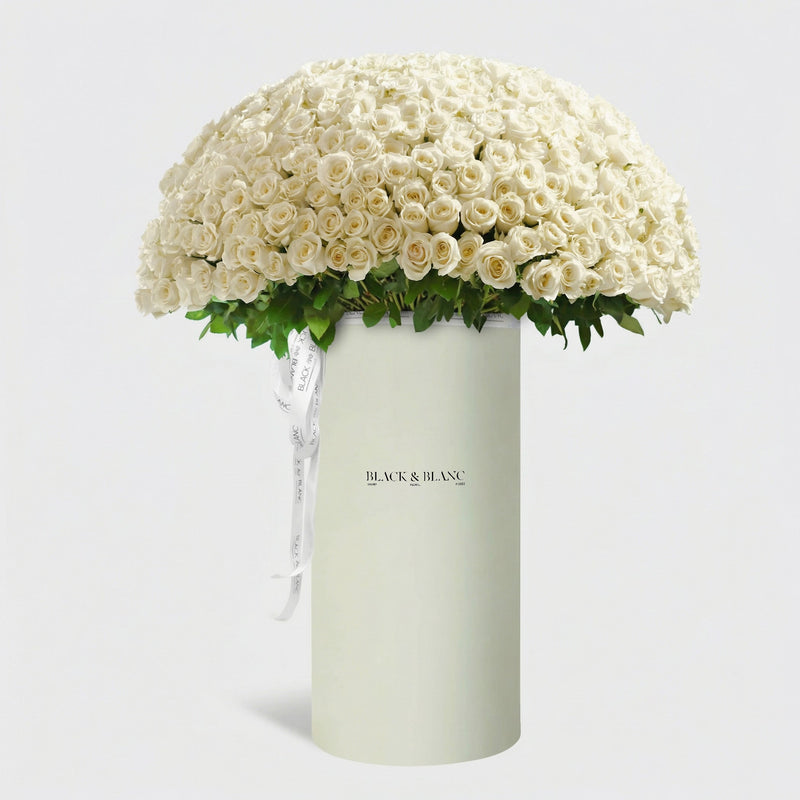 500/501 White Roses in Pinnacle