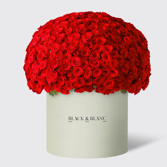 500 Roses in Opus Box - Infinity Roses - BLACK AND BLANC