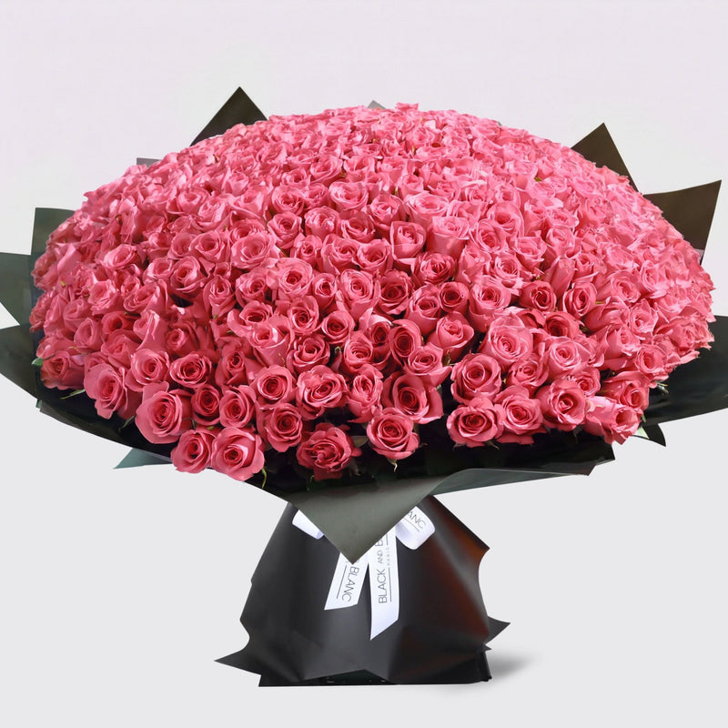 500/501 Pink Roses Bouquet - BLACK AND BLANC